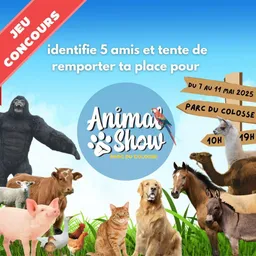 Logo Animal Show