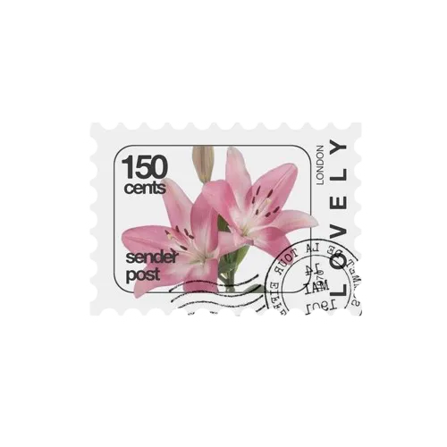 Timbre lily